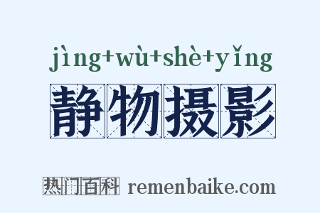 静物摄影是什么意思的图片